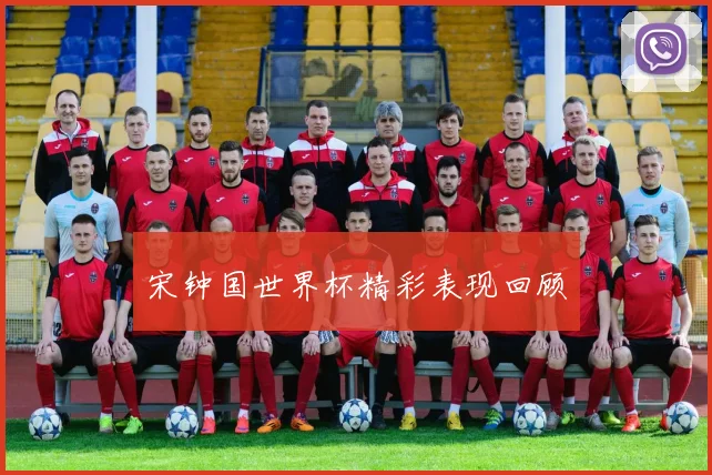 宋钟国世界杯精彩表现回顾