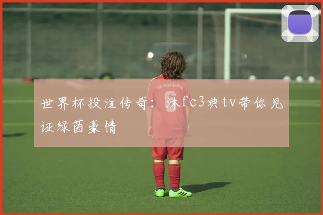 世界杯投注传奇：沐fc3典tv带你见证绿茵豪情