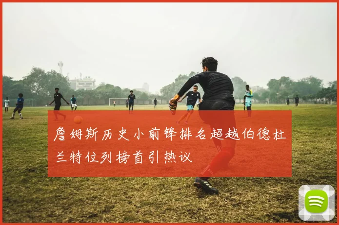 詹姆斯历史小前锋排名超越伯德杜兰特位列榜首引热议