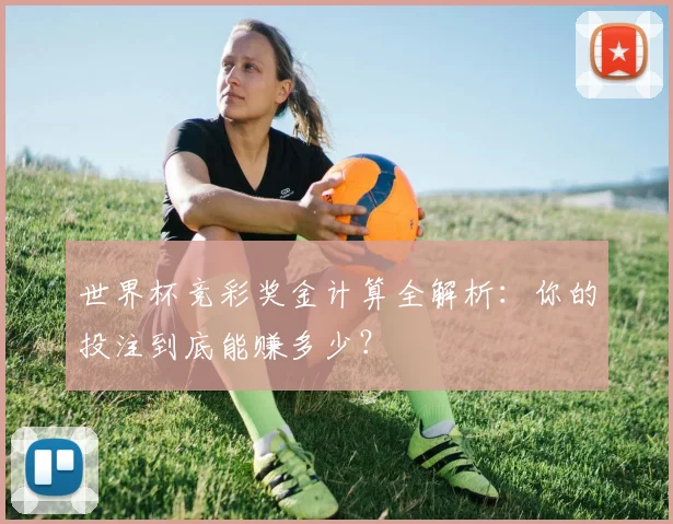 世界杯竞彩奖金计算全解析:你的投注到底能赚多少?
