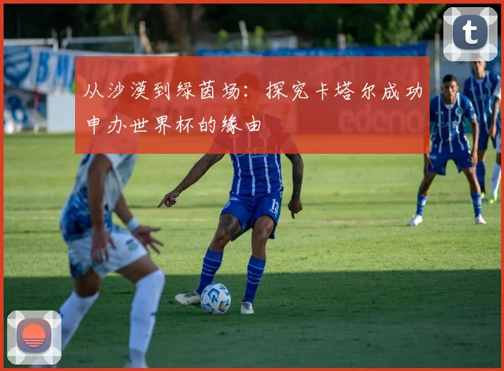 从沙漠到绿茵场：探究卡塔尔成功申办世界杯的缘由
