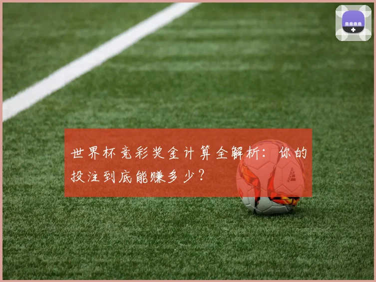 世界杯竞彩奖金计算全解析:你的投注到底能赚多少?