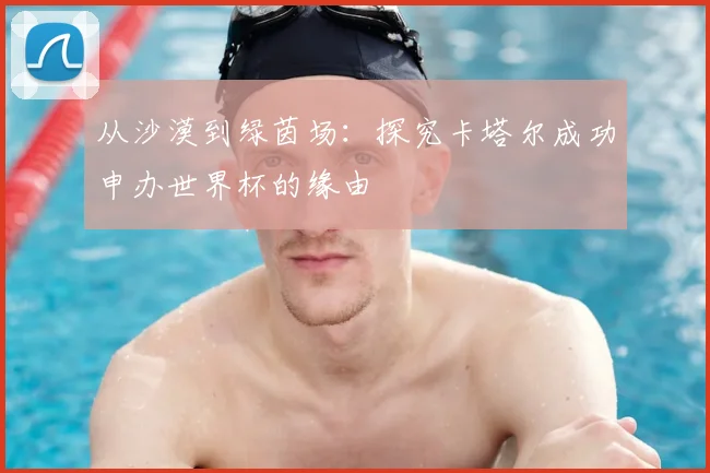 从沙漠到绿茵场：探究卡塔尔成功申办世界杯的缘由