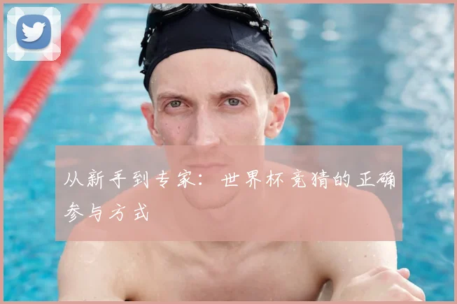 从新手到专家：世界杯竞猜的正确参与方式