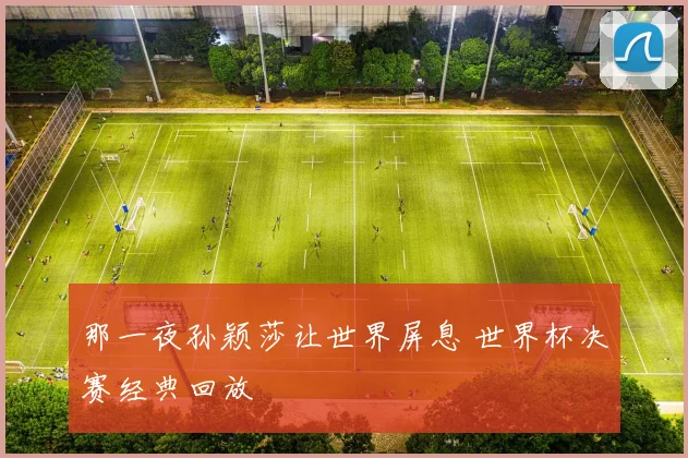那一夜孙颖莎让世界屏息 世界杯决赛经典回放