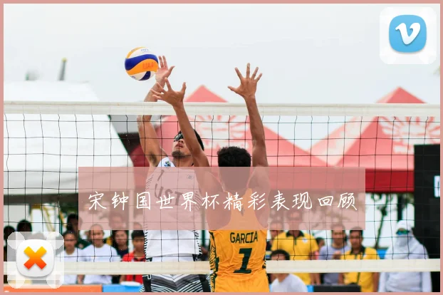 宋钟国世界杯精彩表现回顾